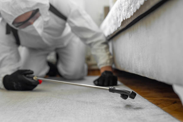 Professional Termite Control technician working in Greenville, GA