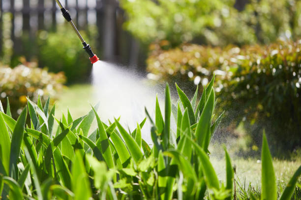 24/7 Emergency Termite Control experts in Greenville, GA