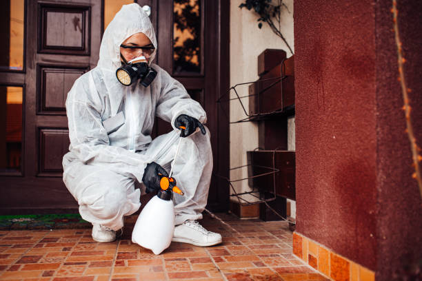 Reliable Termite Control contractor in Greenville, GA by Nex Pest Control