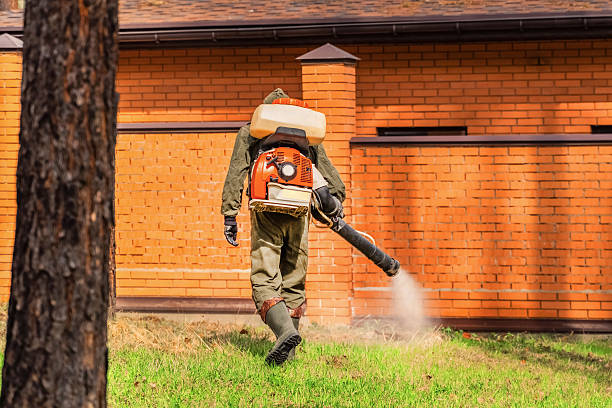 Trusted Rodent Control service in Greenville, GA - Nex Pest Control